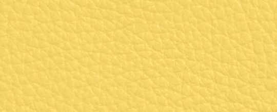 COACH®,Long Zip Around Wallet,Leather,Wristlet,Continental,Gold Metal,Casual,Yellow,Front View