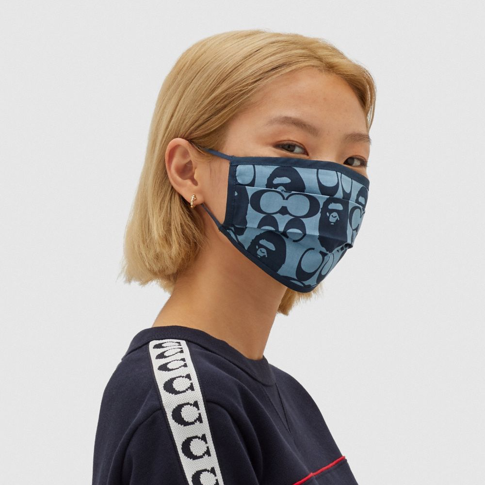 CHAMBRAY,vue détaillée