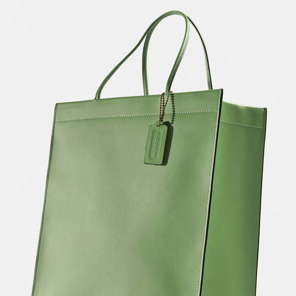 Cashin Carry Tote In Original Natural Leather | COACH®