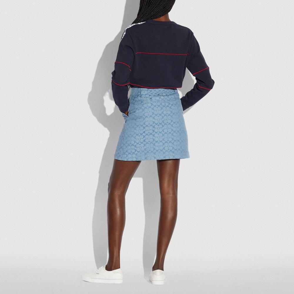 Chambray Mini Skirt