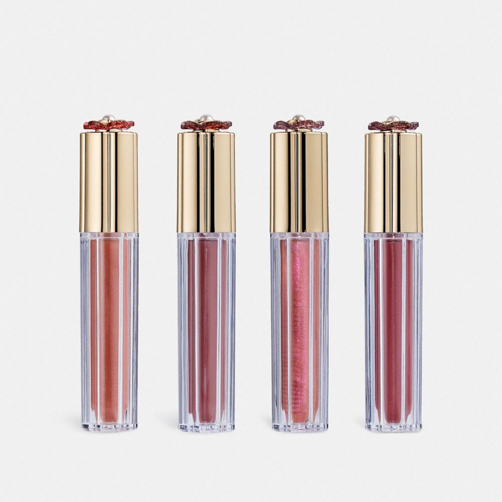 Dior la collection lip gloss outlet set