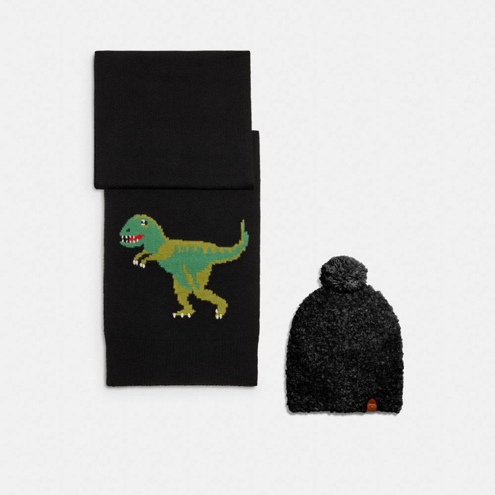 Coach 2025 rexy beanie