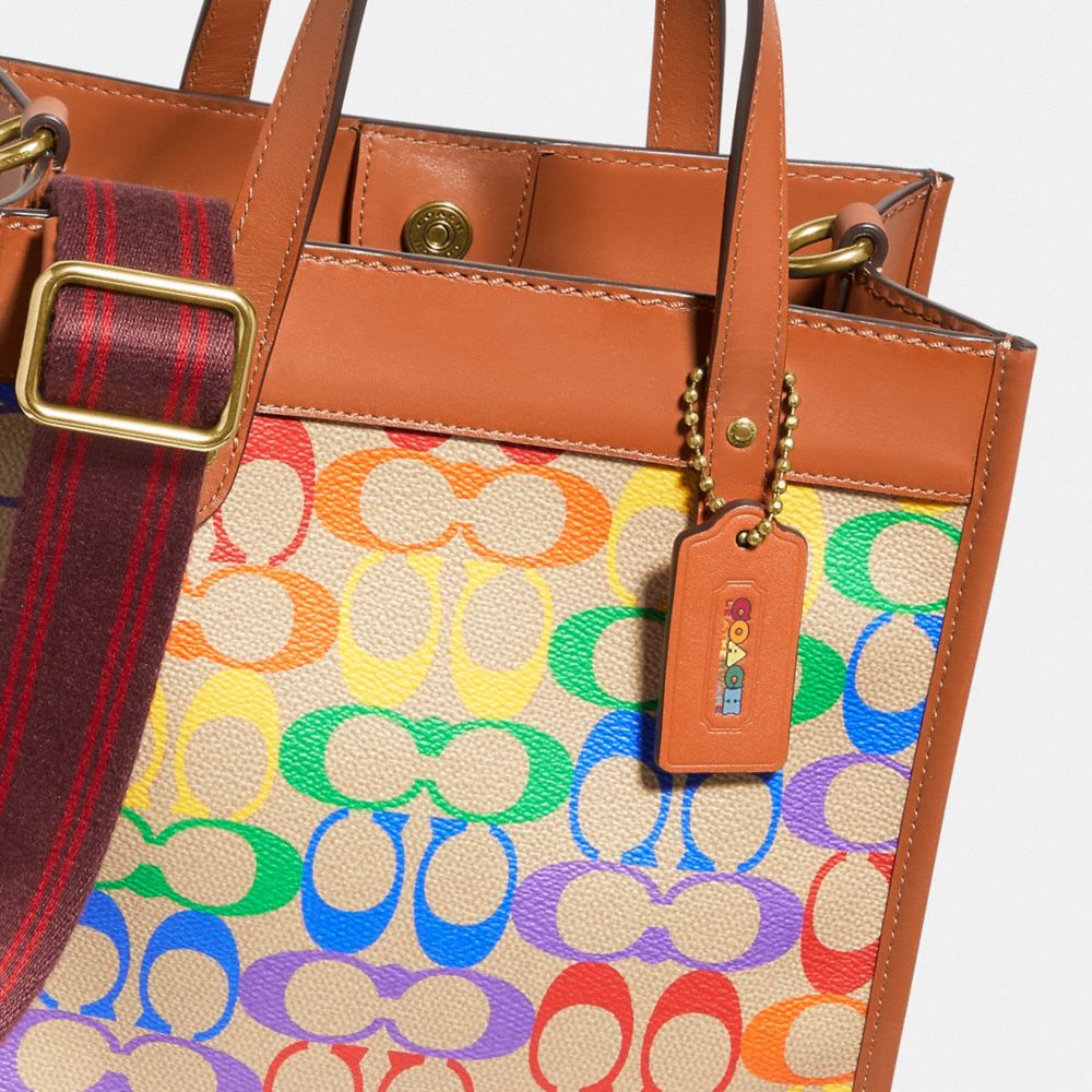 Coach discount rainbow tote