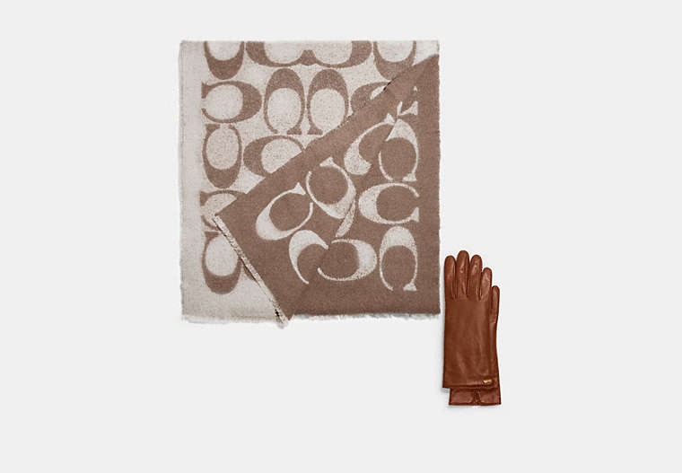 COACH®,Reversible Signature Muffler & Horse And Carriage Leather Tech Gloves,