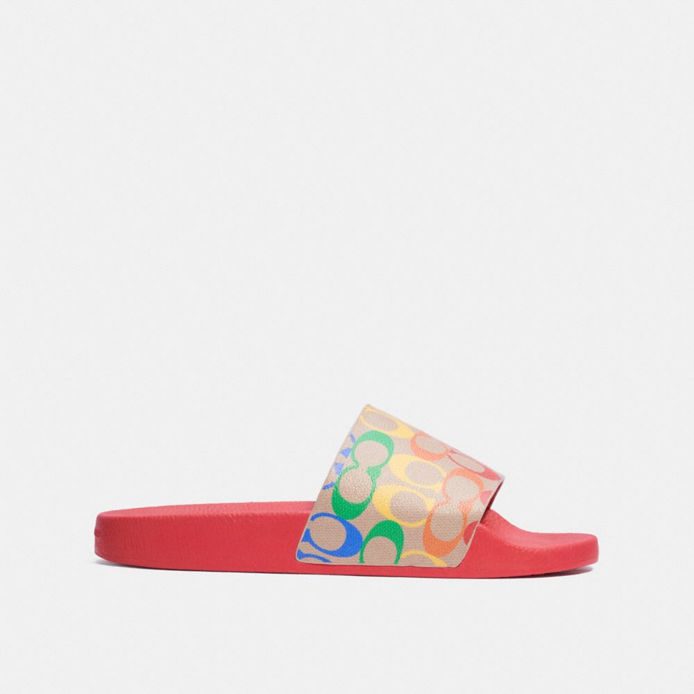 Slide In Rainbow Signature Canvas