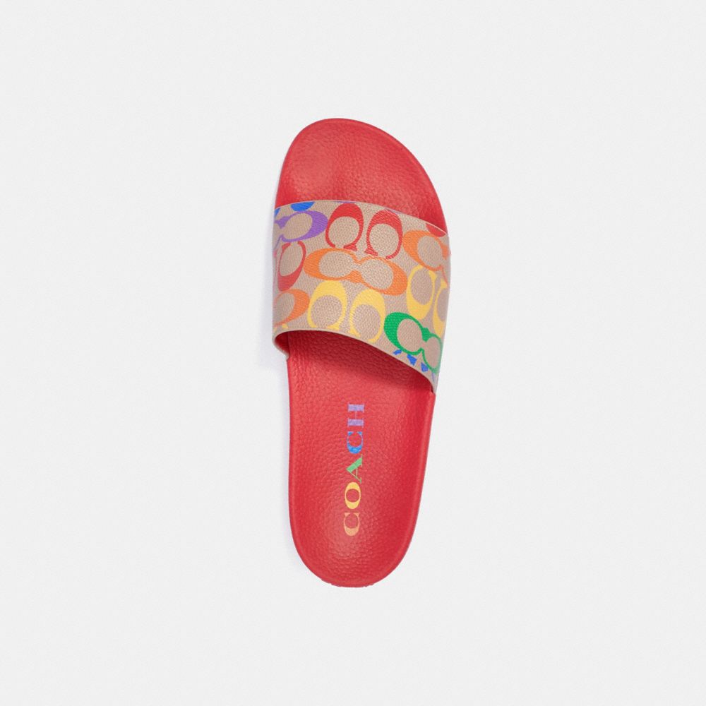 Slide In Rainbow Signature Canvas