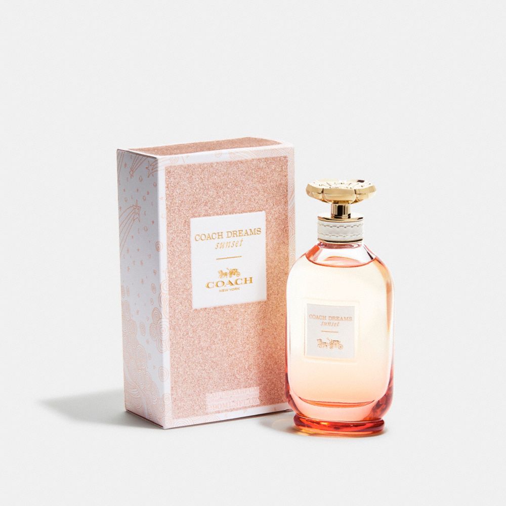 Perfect Dream (EDP) 100ml Fragrance