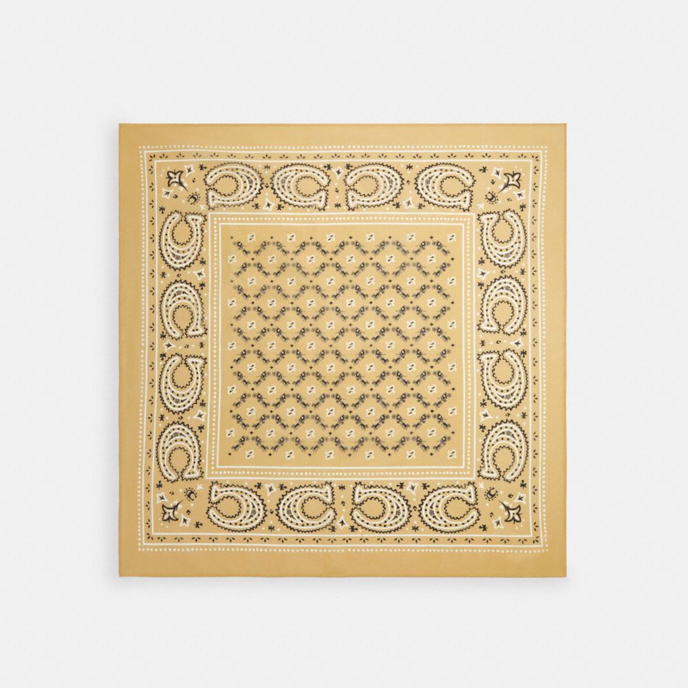 Men Geometric Print Bandana