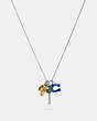 COACH®,MULTI MUSHROOM CHARM NECKLACE,Metal,Multi,Front View