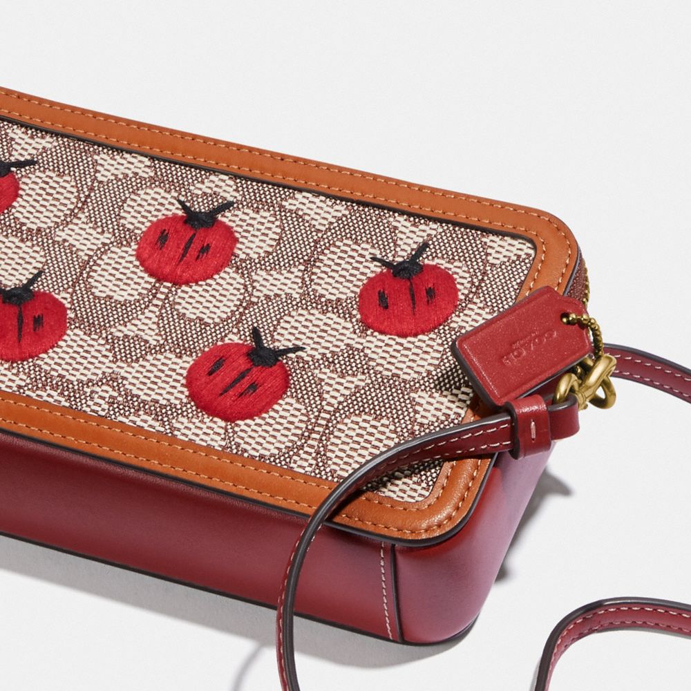 Coach purse with ladybugs new arrivals