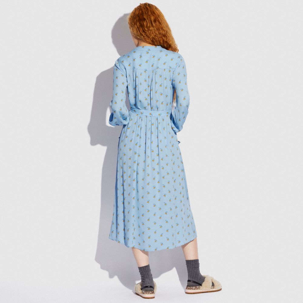 COACH®,ROBE IMPRIMÉE À MANCHES LONGUES,Bleu/Jaune,Scale View