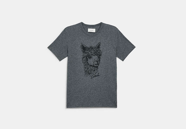 Alpaca Graphic T Shirt