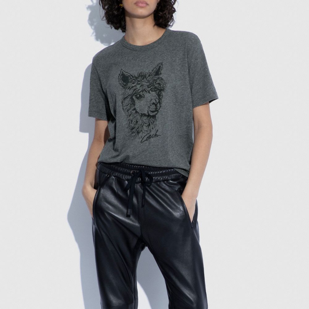 Alpaca Graphic T Shirt