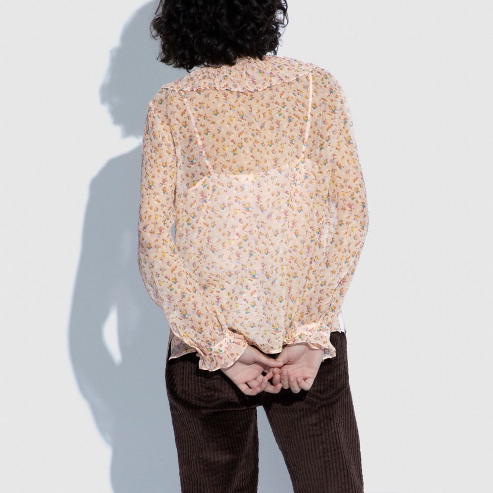 Ruffle Blouse With Ruffle Cuffs