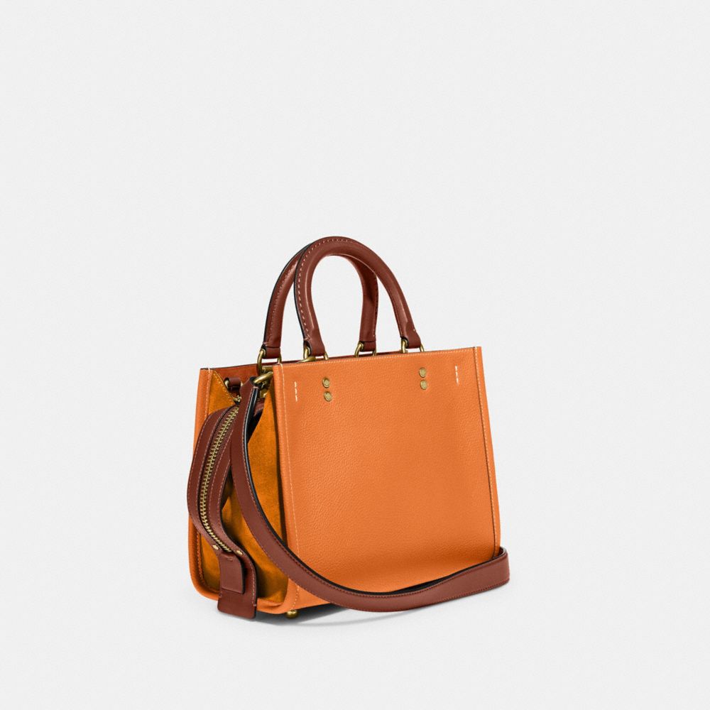 Rogue Bag 25 In Colorblock