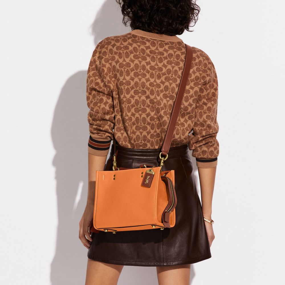 Rogue Bag 25 In Colorblock