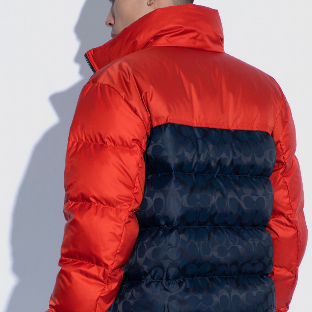 Navy Red Hooded Puffer Jacket