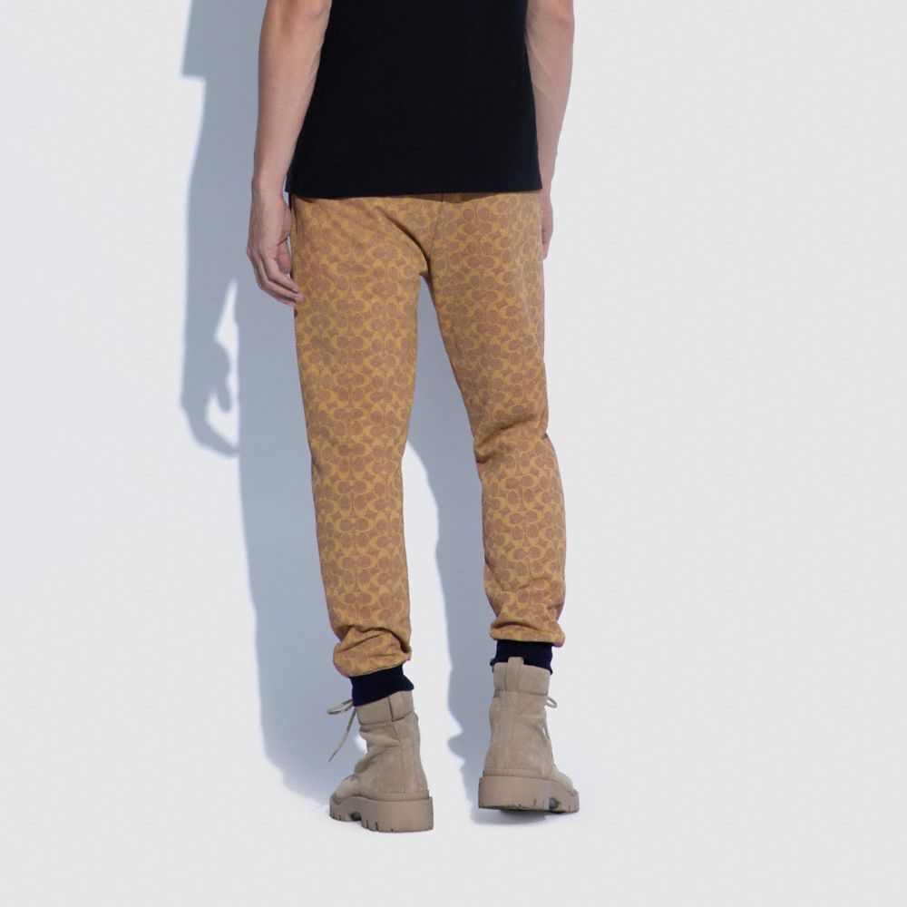 COACH®,Essential Joggers In Organic Cotton,Organic Cotton,Cotton,Jogger,Sweatpant,Drawstring,Casual,Beige,Scale View