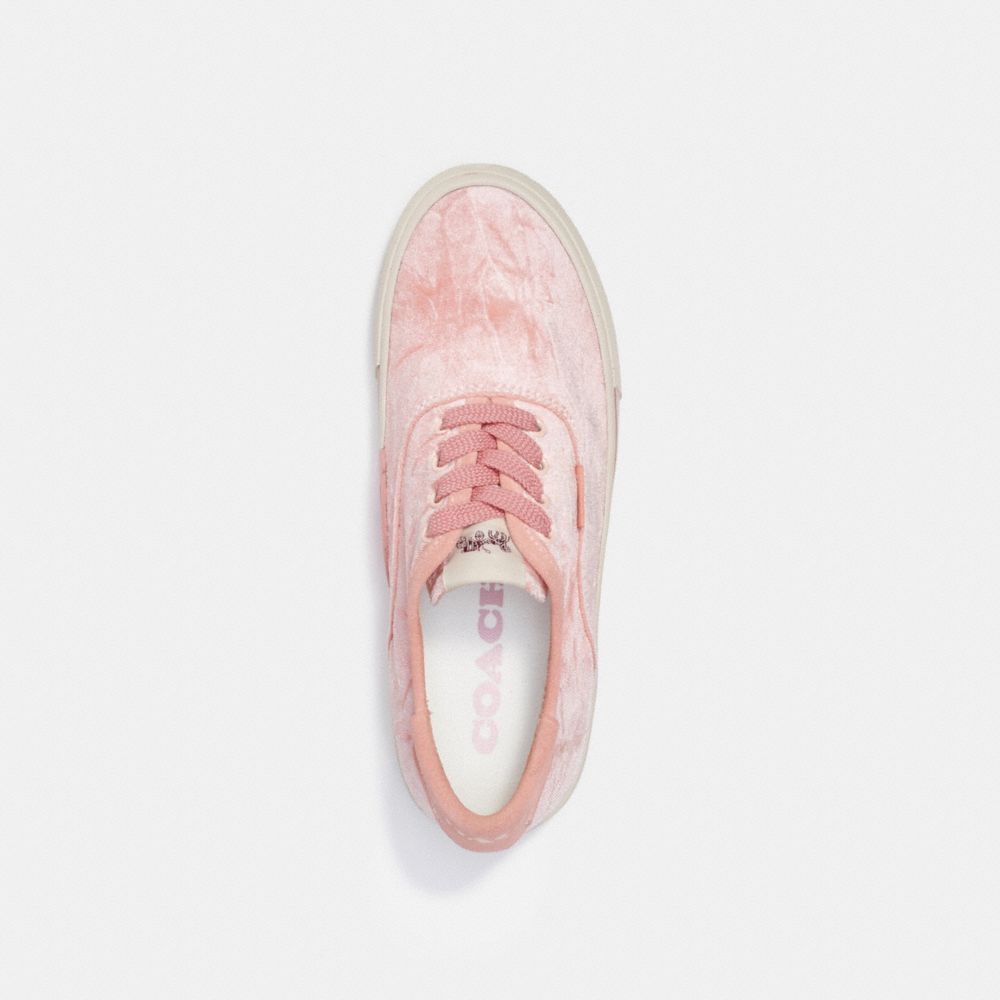 citysole skate sneaker