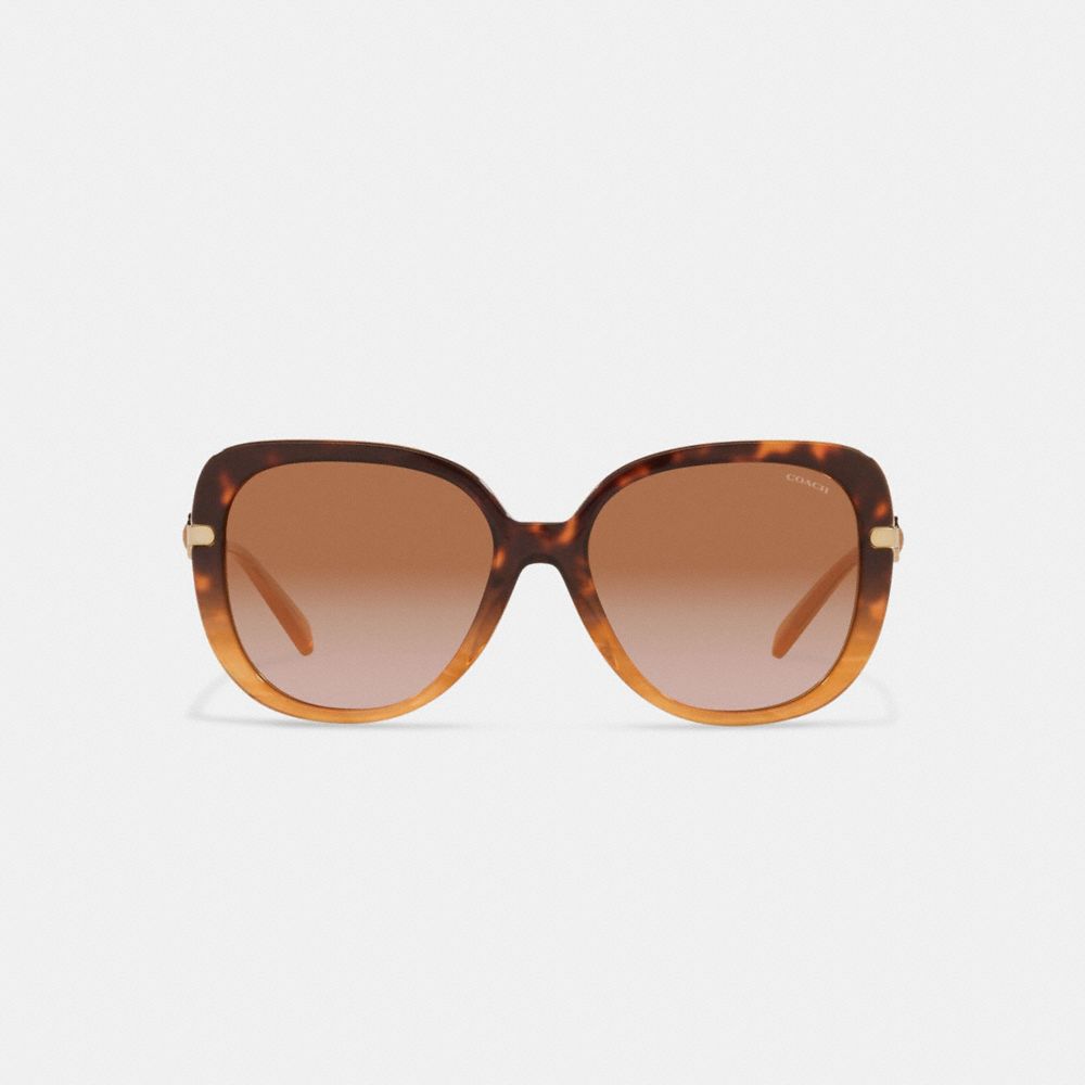 Square Sunglasses