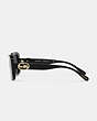 Horse And Carriage Rectangle Sunglasses