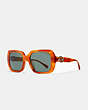 COACH®,HORSE AND CARRIAGE SQUARE SUNGLASSES,Amber Tortoise,Front View