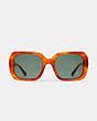 COACH®,HORSE AND CARRIAGE SQUARE SUNGLASSES,Amber Tortoise,Inside View,Top View