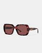 COACH®,HORSE AND CARRIAGE SQUARE SUNGLASSES,Wine Tortoise,Front View
