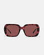 COACH®,HORSE AND CARRIAGE SQUARE SUNGLASSES,Wine Tortoise,Inside View,Top View