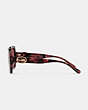 COACH®,HORSE AND CARRIAGE SQUARE SUNGLASSES,Wine Tortoise,Alternate View
