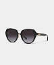 COACH®,HORSE AND CARRIAGE OVERSIZED ROUND SUNGLASSES,Black,Front View