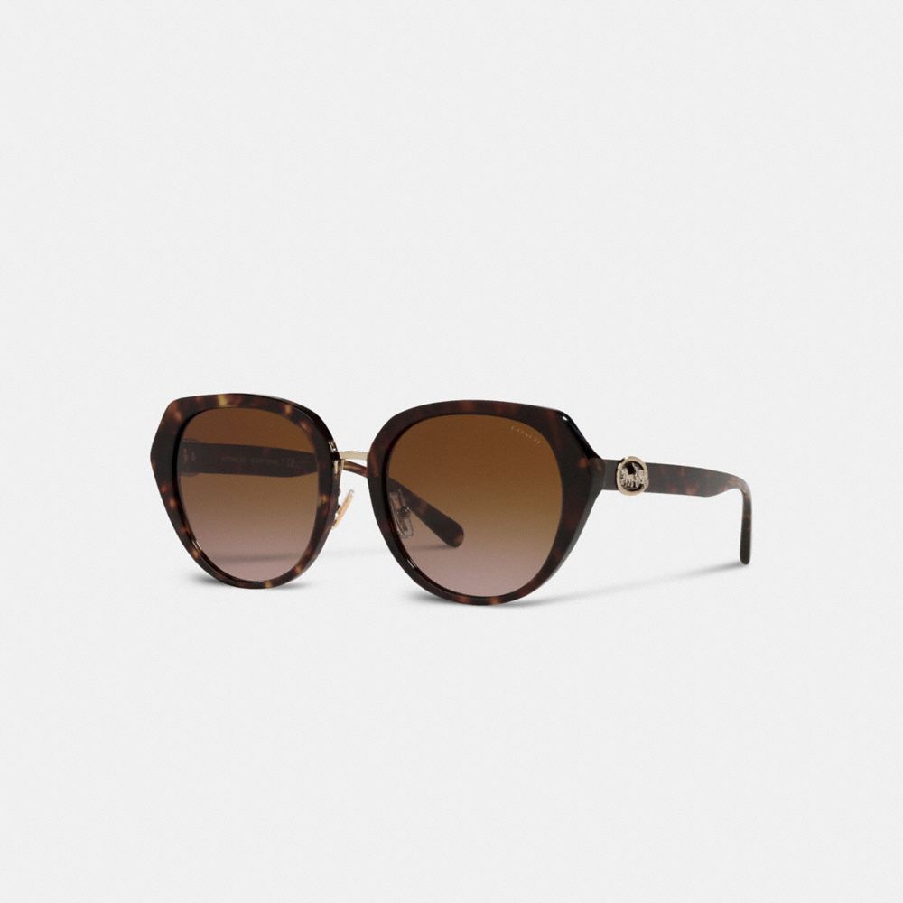COACH®,HORSE AND CARRIAGE OVERSIZED ROUND SUNGLASSES,DARK TORTOISE,Front View