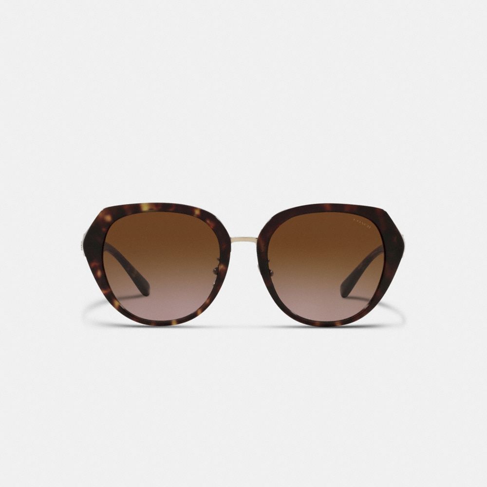 COACH®,HORSE AND CARRIAGE OVERSIZED ROUND SUNGLASSES,DARK TORTOISE,Inside View,Top View