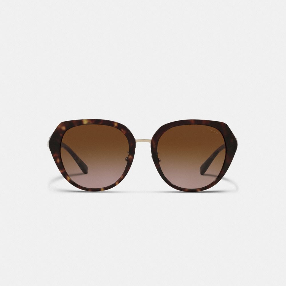 Coach cheap buckle sunglasses