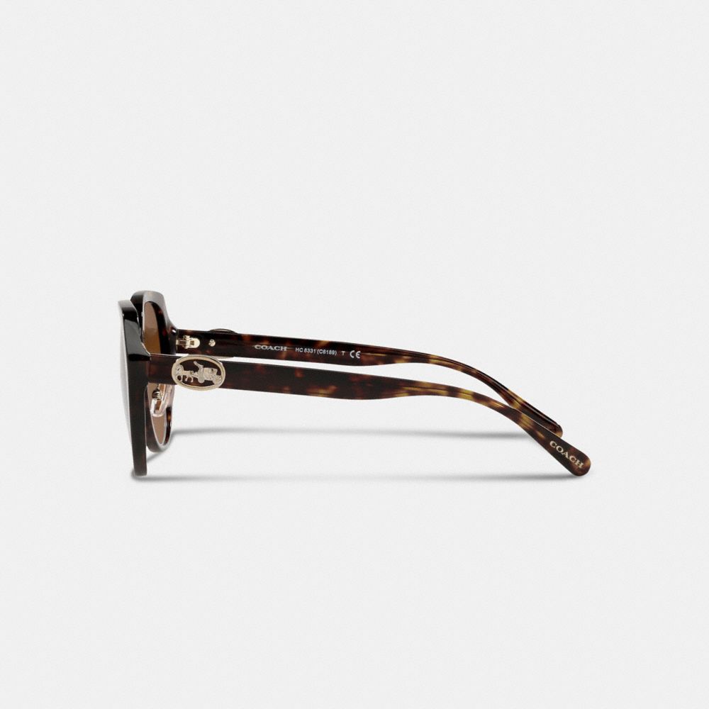 Horse And Carriage Oversized Round Sunglasses