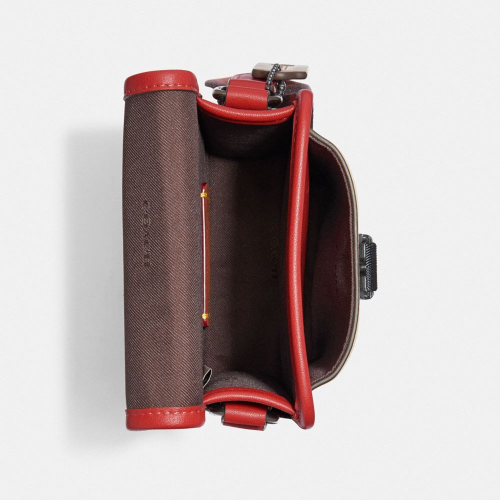 Charter North/South Crossbody With Hybrid Pouch In Colorblock