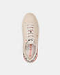 COACH®,COACH X JEAN-MICHEL BASQUIAT CLIP LOW TOP SNEAKER,Leather,Ivory/ Snake,Inside View,Top View