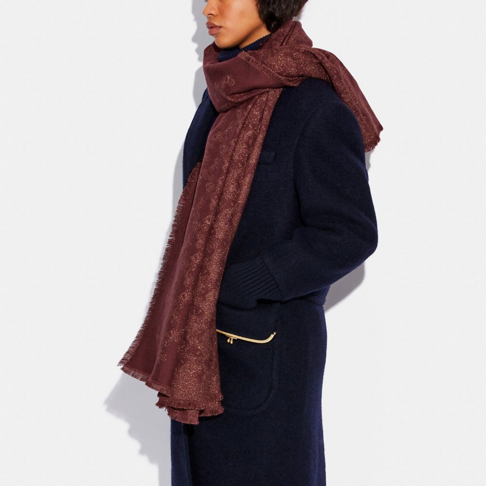 COACH®,CHÂLE IMPRIMÉ CHEVAL ET CALÈCHE,Matériau mixte,Rouge vin,Detail View