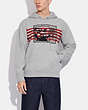 COACH®,DISNEY MICKEY MOUSE X KEITH HARING HOODIE,cotton,Light Heather Grey,Scale View