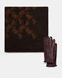COACH®,Horse And Carriage Print Blanket Scarf & Tech Napa Gloves,