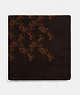 COACH®,HORSE AND CARRIAGE PRINT BLANKET SCARF,wool,Chestnut,Front View