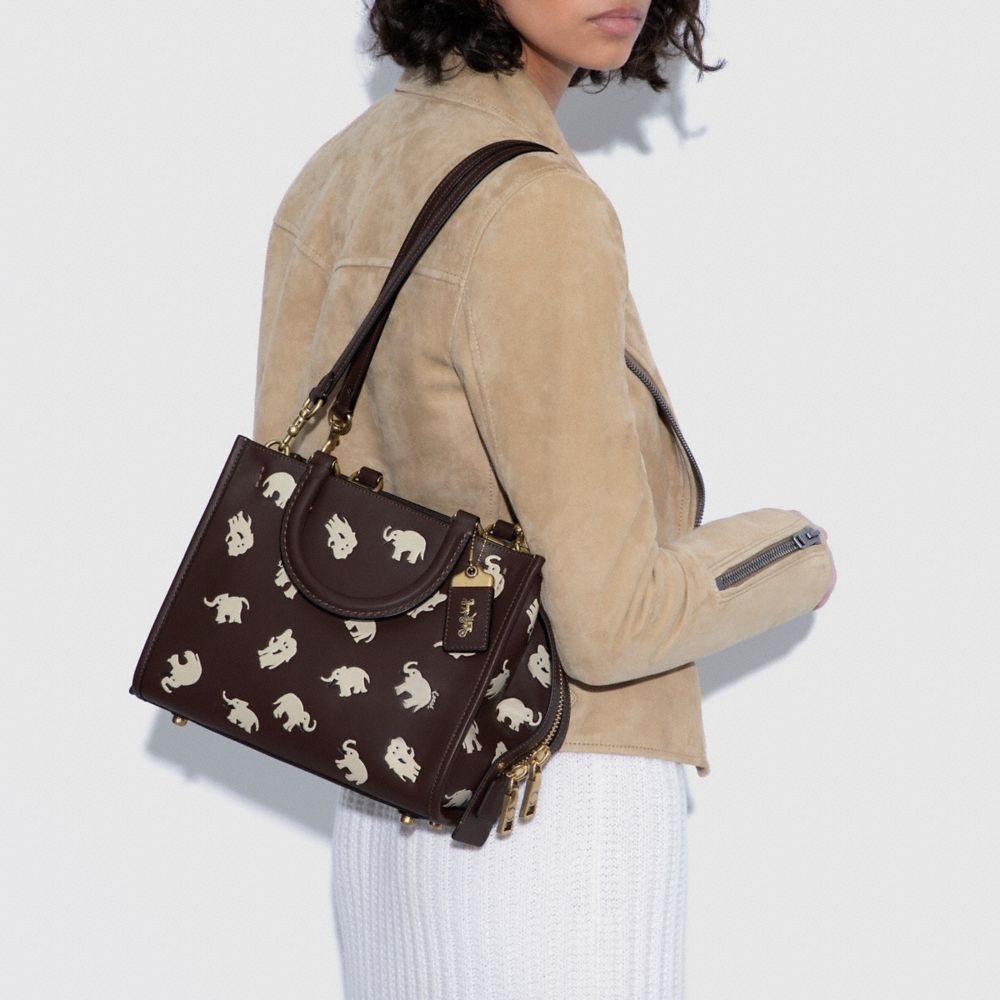 Rogue Bag 25 With Elephant Print