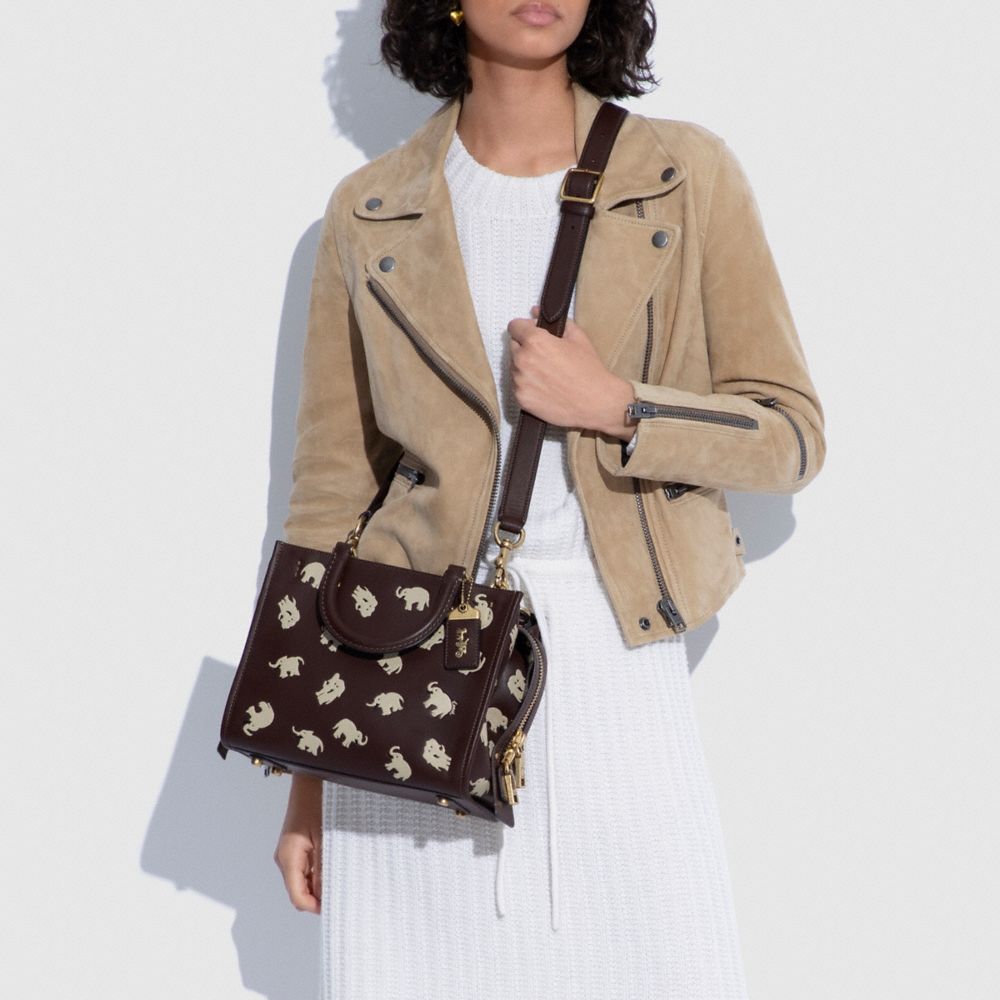 Rogue Bag 25 With Elephant Print