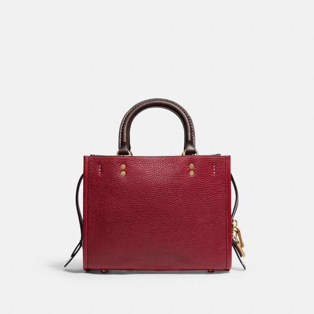 Rogue Bag 25 In Colorblock