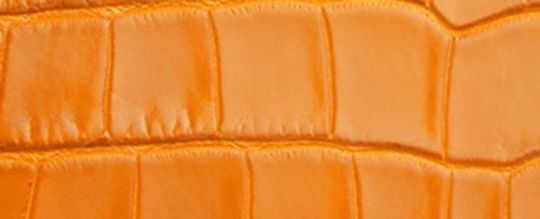 COACH® | Rogue Bag 25 In Alligator