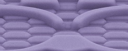 COACH®,BRACELET APPLE WATCH®, 38 MM ET 40 MM,Silicone,Violet,Front View