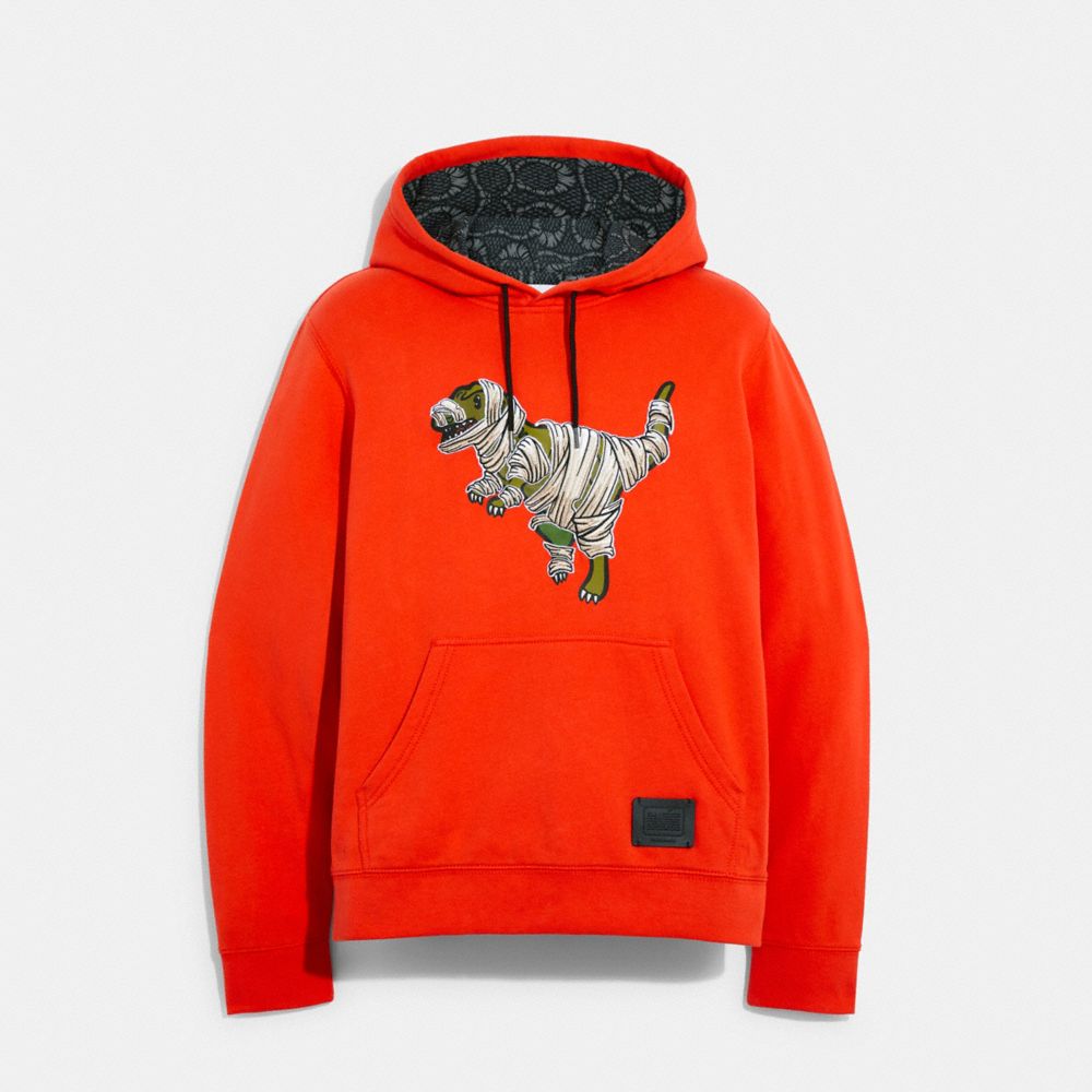 Coach sales dinosaur hoodie