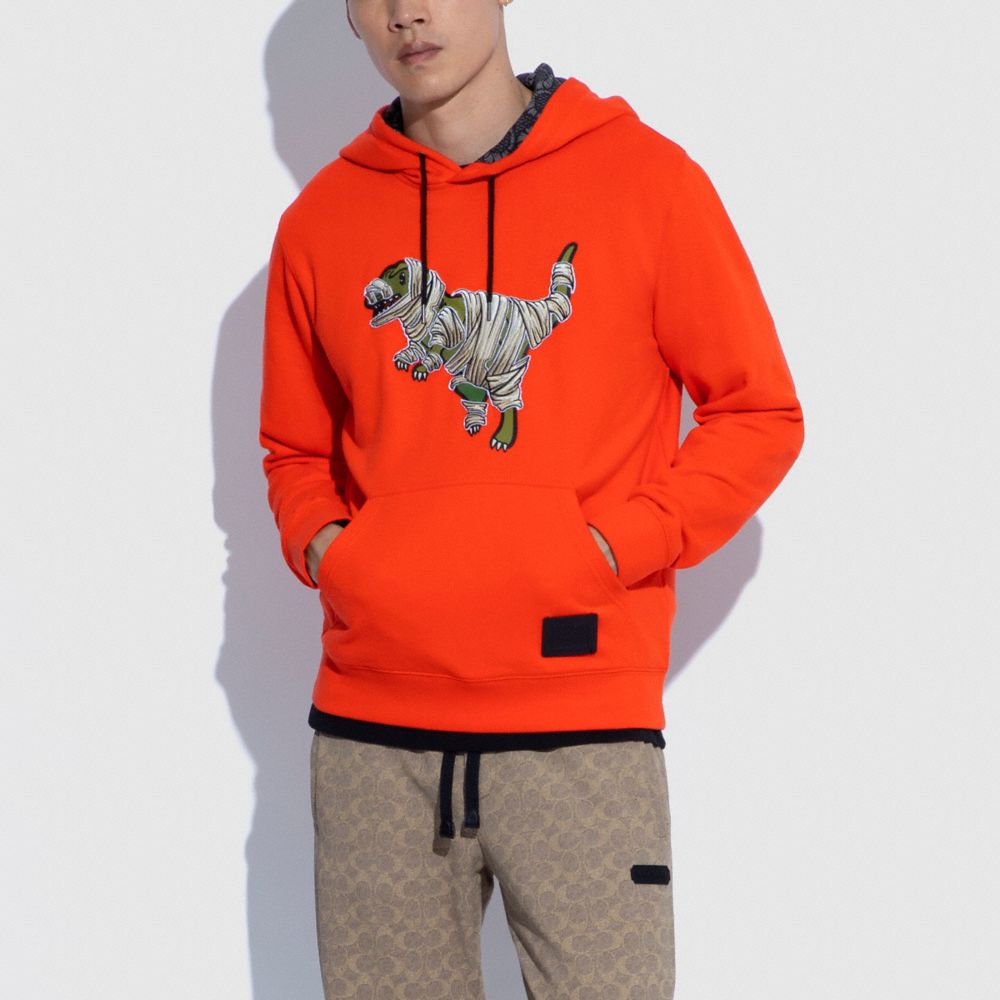 Coach discount dinosaur hoodie