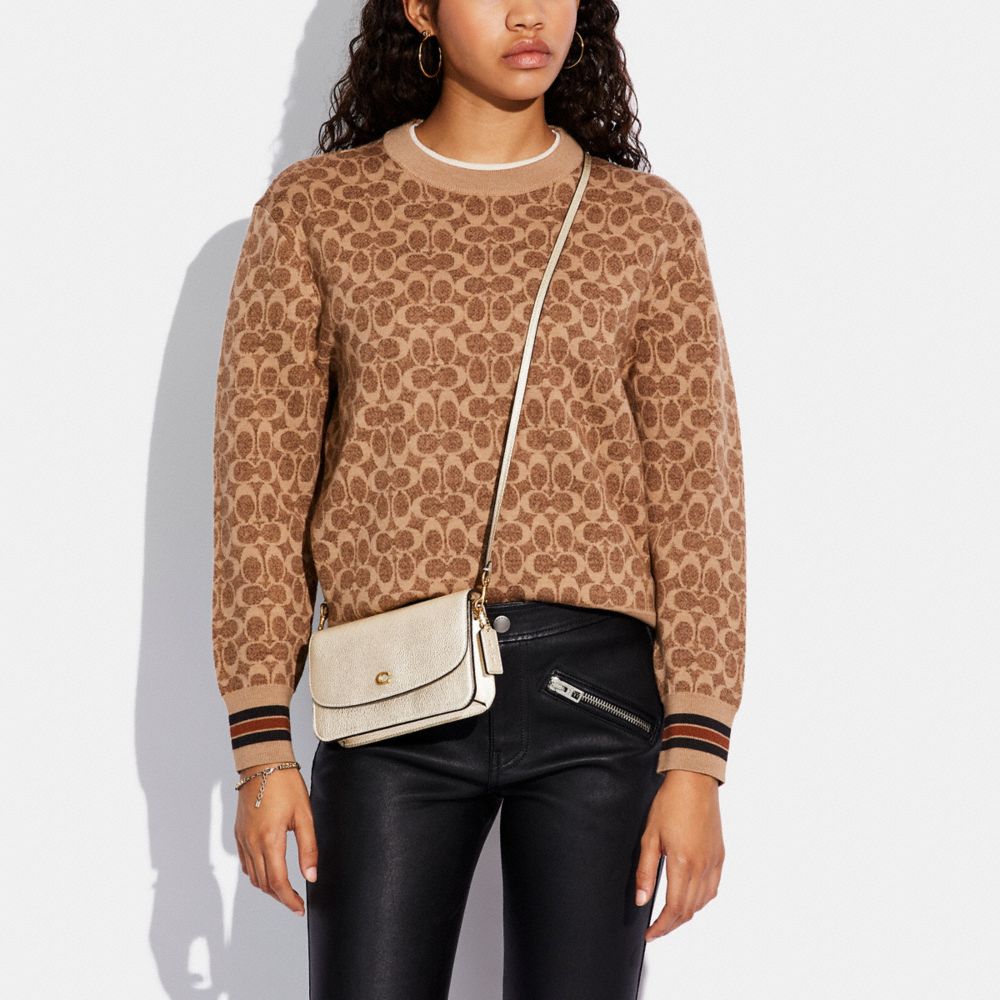 公式】COACH – コーチ | ヘイデン クロスボディ