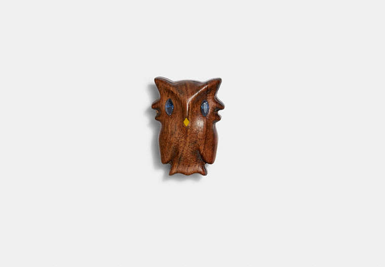 COACH®,OWL PIN,Brown/Multi,Front View
